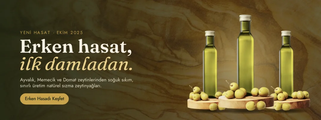 Zeytin ağacı tahta üzerinde üç erken hasat zeytinyağı şişesi