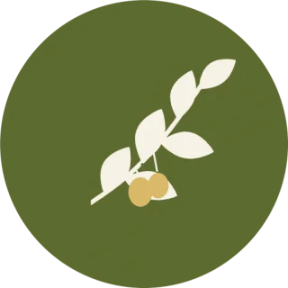@oleaatolye_demo